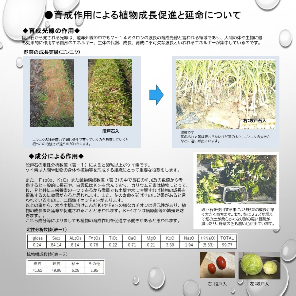 育成作用による植物成長促進と延命について